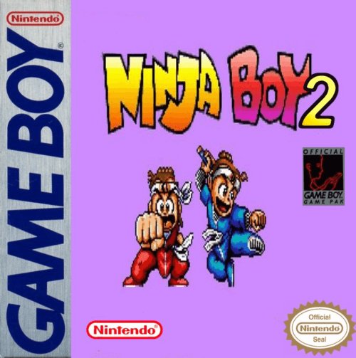 Ninja Boy 2