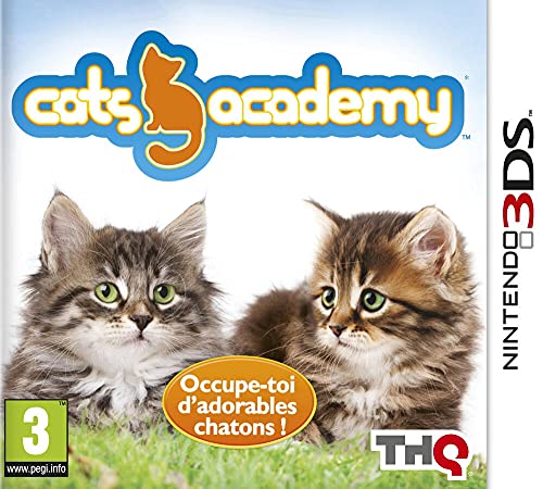 Cats Academy 2