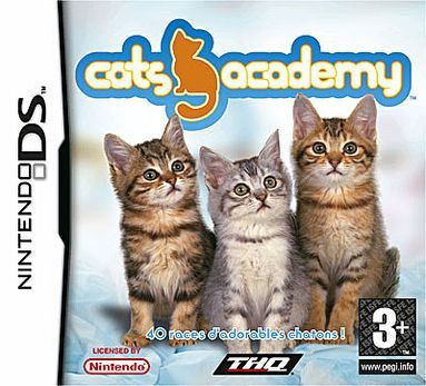 Cats Academy