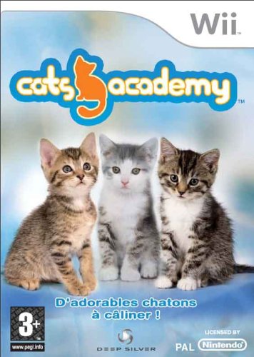 Cats Academy