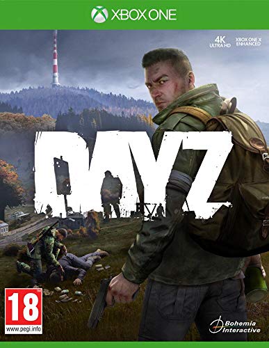 DayZ