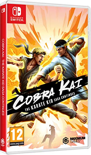 Cobra Kai The Karate Kid Saga Continues