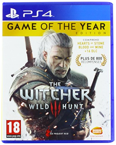 The Witcher 3 : Wild Hunt – Game Of The Year