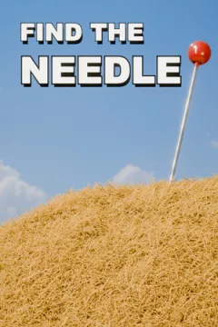jaquette jeu Find The Needle