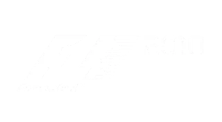 F1 2010