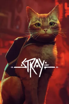 jaquette jeu Stray