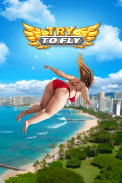 jaquette jeu Try to Fly