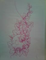 avatar pseudooxydia