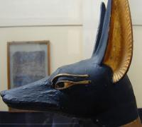 avatar pseudoanubis444