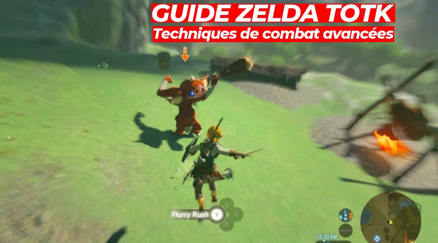 Soluce The Legend of Zelda : Tears of the Kingdom, guide, astuces sur  Switch 