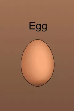 jaquette jeu EGG