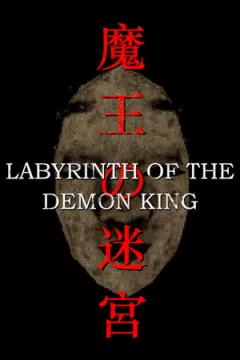 jaquette jeu Labyrinth Of The Demon King
